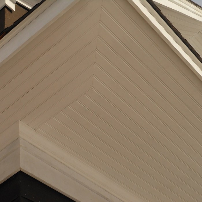 Boral TruExterior exterior siding and trim - SWP