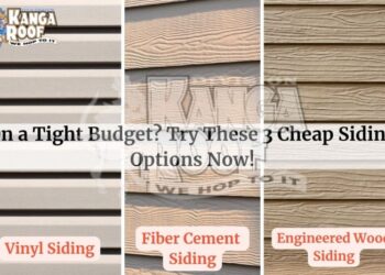 On A Tight Budget? Try These 3 Cheap Siding Options Now!