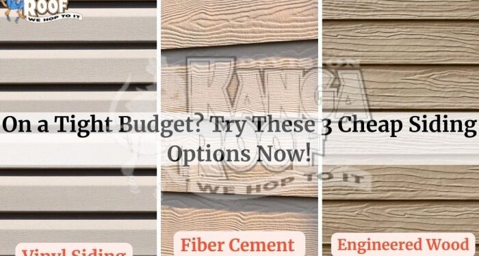 On A Tight Budget? Try These 3 Cheap Siding Options Now!